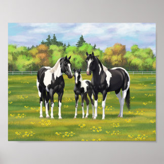 Black Pinto Paint Quarter Horses In Summer Pasture Poster