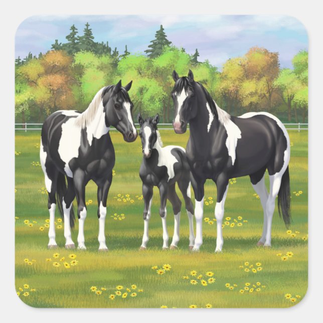 Black Pinto Paint Quarter Horses In Summer Pasture Square Sticker (Front)