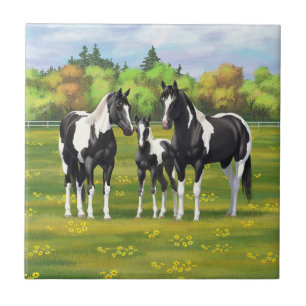 Black Pinto Paint Quarter Horses In Summer Pasture Tile
