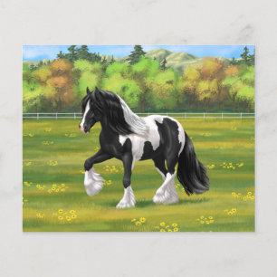Black Pinto Piebald Gypsy Vanner Draft Horse
