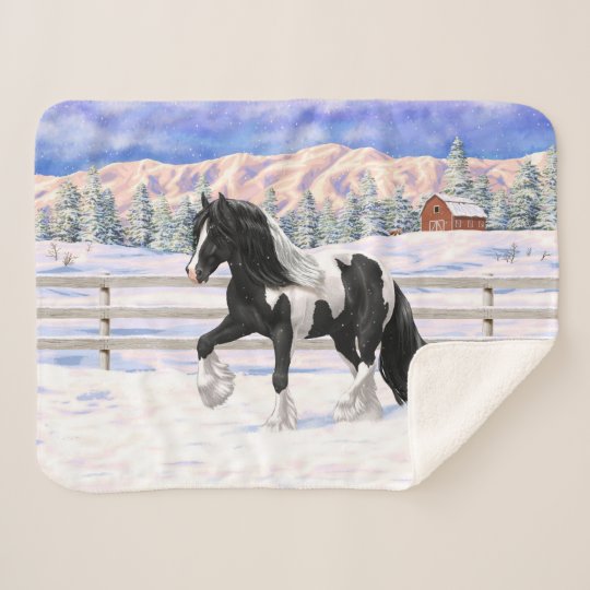 Black Pinto Piebald Gypsy Vanner Draft Horse Sherpa Blanket Zazzle.co.uk