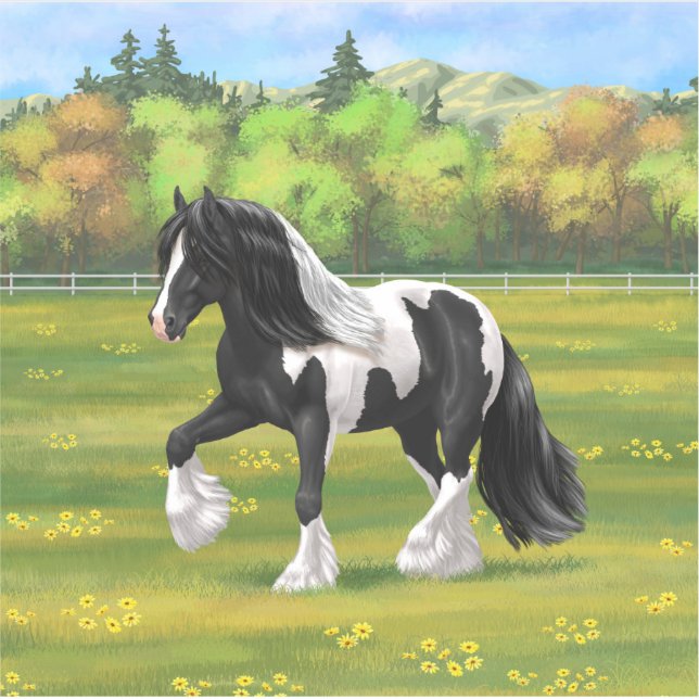 Black Pinto Piebald Gypsy Vanner Draught Horse (Front)