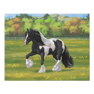 Black Pinto Piebald Gypsy Vanner Draught Horse Faux Canvas Print