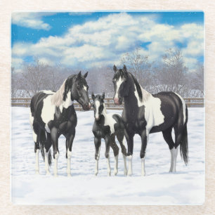 Black Pinto Quarter Horse Paint Horses In Snow Glass Coaster