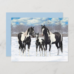 Black Pinto Quarter Horse Paint Horses In Snow Invitation