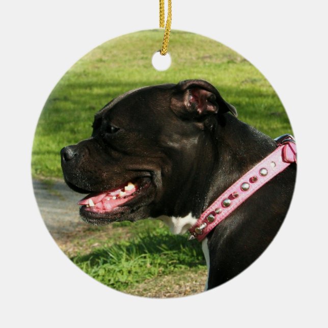 Black pitbull ornament (Front)