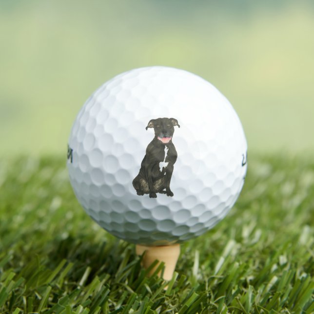 Black Pitbull Staffy Dog Golf Balls (Insitu Tee)