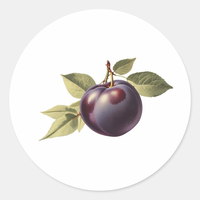 Black Plum with Leaves  Classic Round Sticker (Front)
