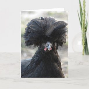 Black Polish Hen Card