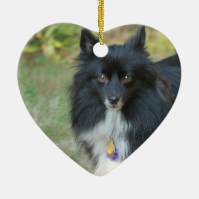 Black Pomeranian Dog Ornament (Front)