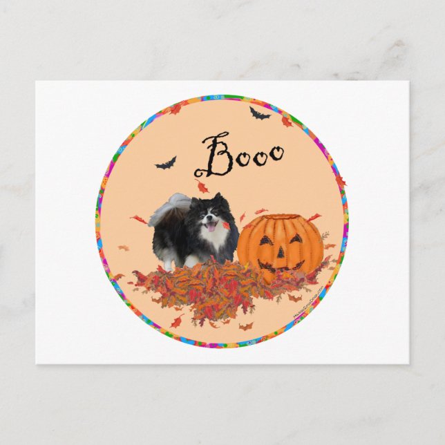 Black Pomeranian Halloween Postcard (Front)