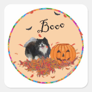 Black Pomeranian Halloween Square Sticker