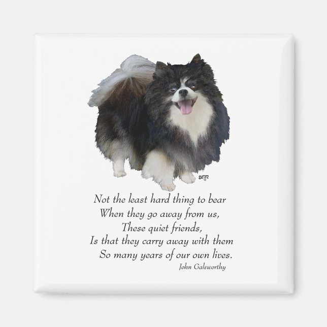 Black Pomeranian Keepsake Magnet (Front)