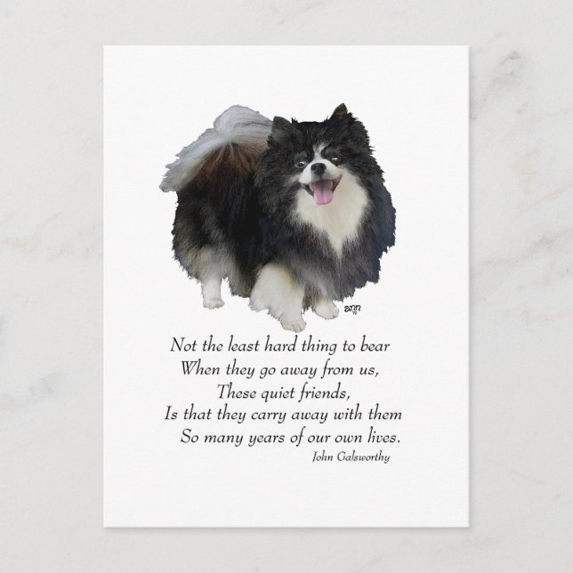 Black Pomeranian Keepsake Postcard (Front)