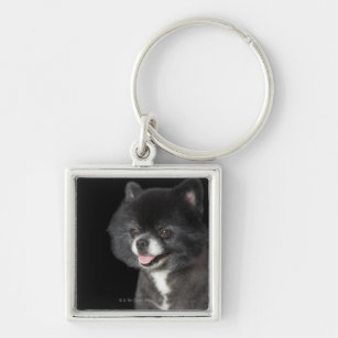 Black Pomeranian looking to the left Key Ring