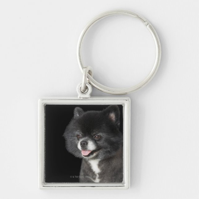 Black Pomeranian looking to the left Key Ring (Front)