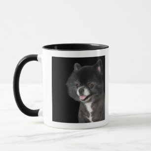 Black Pomeranian looking to the left Mug