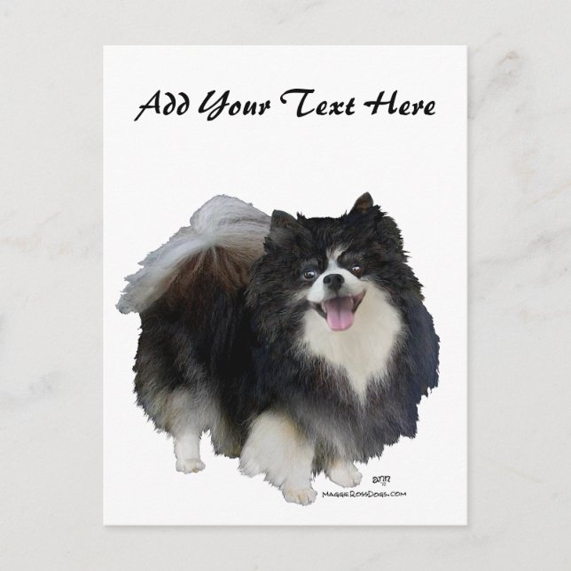 Black Pomeranian Postcard (Front)