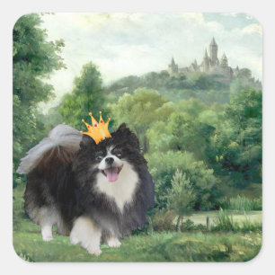 Black Pomeranian Prince Square Sticker