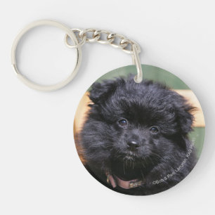 Black Pomeranian Puppy Key Ring