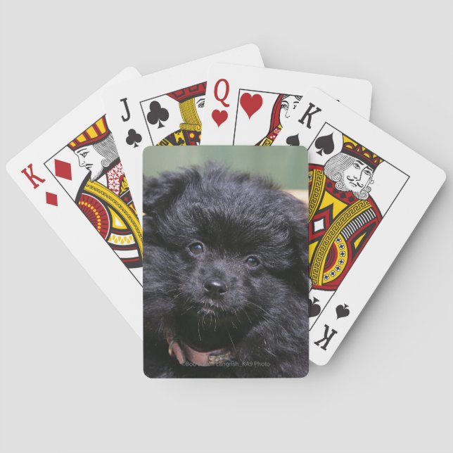 Black Pomeranian Puppy Playing Cards (Back)