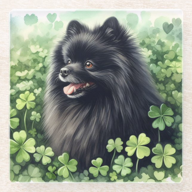 Black Pomeranian St Patricks Day  Glass Coaster (Front)
