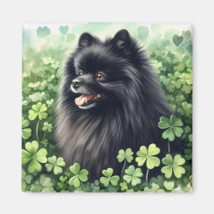 Black Pomeranian St Patricks Day Magnet