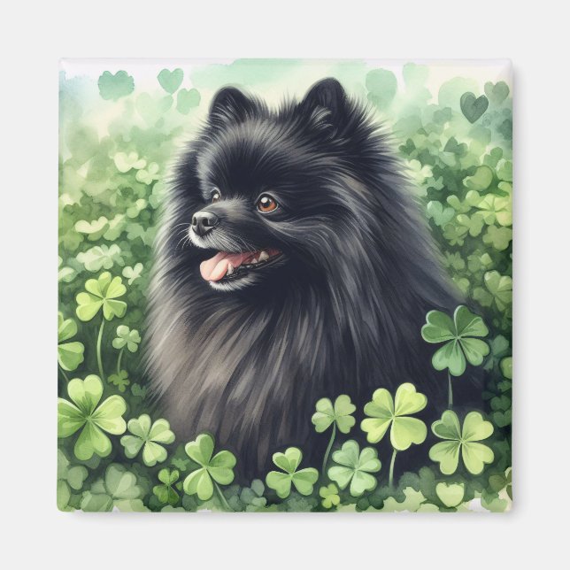 Black Pomeranian St Patricks Day  Magnet (Front)
