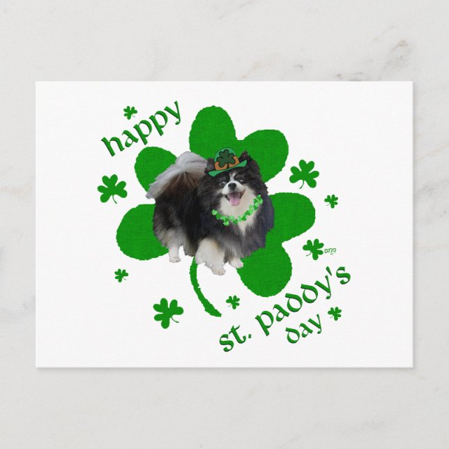 Black Pomeranian St Patricks Day Postcard (Front)