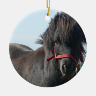 Black Pony  Ornament