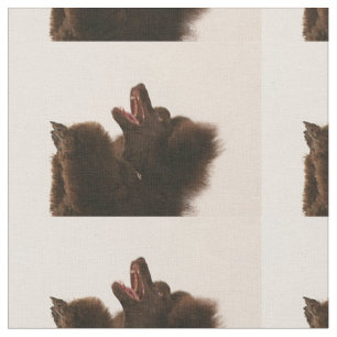 black poodle dancing.png fabric