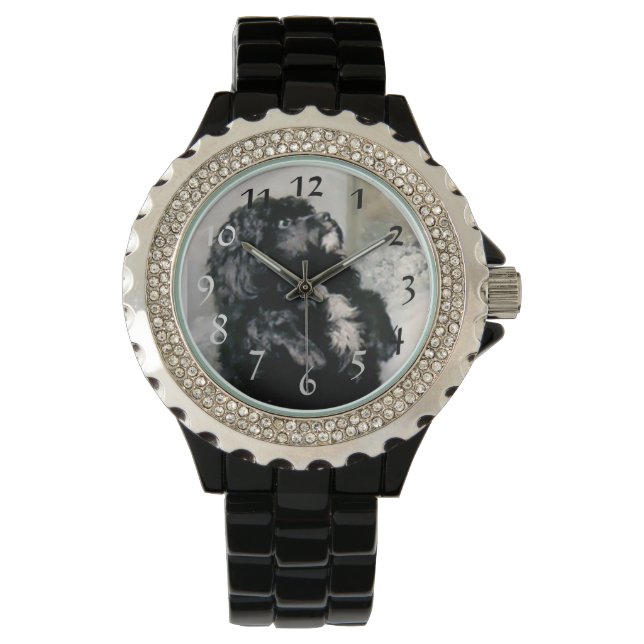 Black Poodle Dog Pet painting Watch (Front)