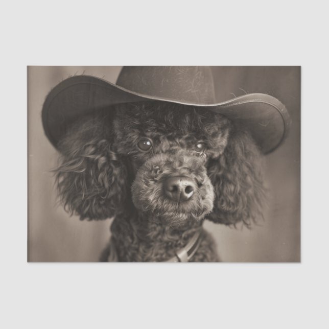 Black Poodle Dressed as a Cowboy Halloween Costume Tissue Paper (Front)