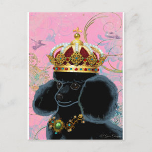 Black Poodle King with Crown Postcard