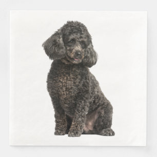 Black Poodle Puppy Dog Wedding Party Birthday Napkin