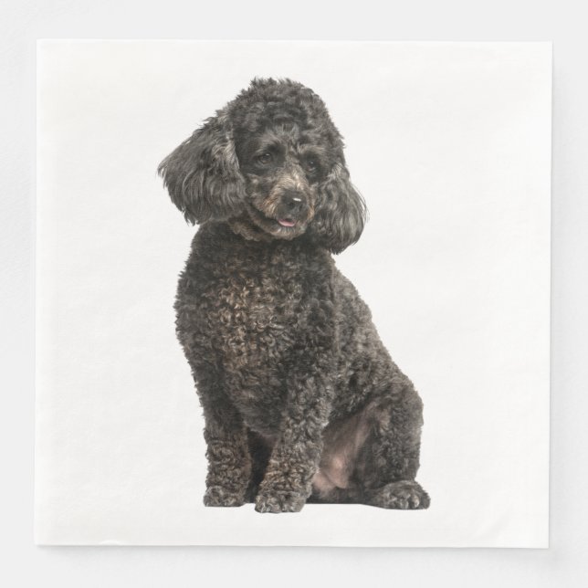 Black Poodle Puppy Dog Wedding Party Birthday Napkin (Front)
