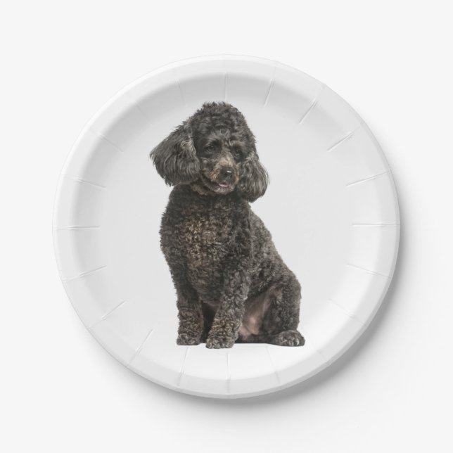 Black Poodle Puppy Dog Wedding Party Birthday Paper Plate (Front)