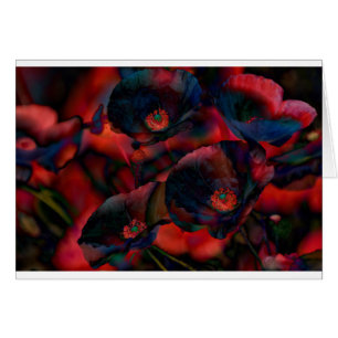 Black Poppies