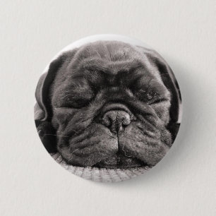 Black pug 6 cm round badge