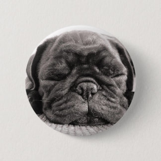 Black pug 6 cm round badge
