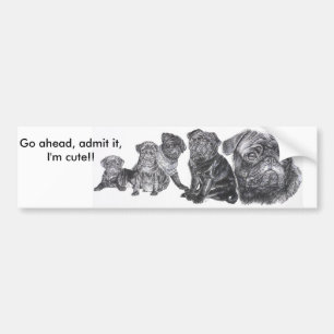 Black Pug Bumper Sticker