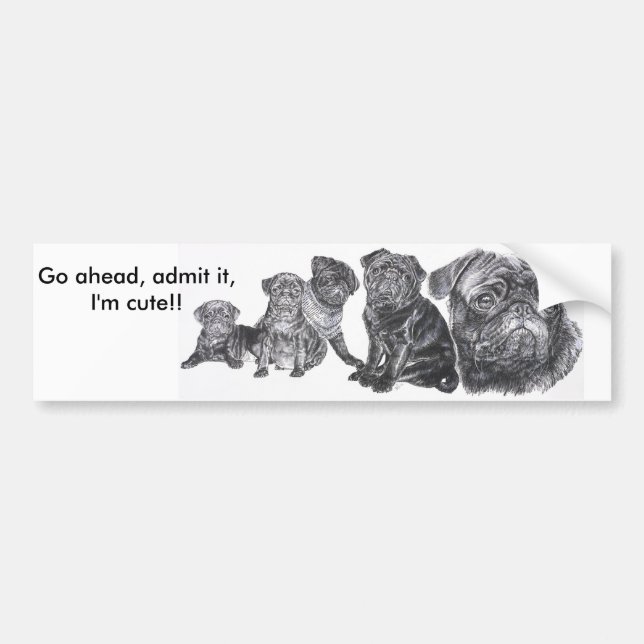Black Pug Bumper Sticker (Front)