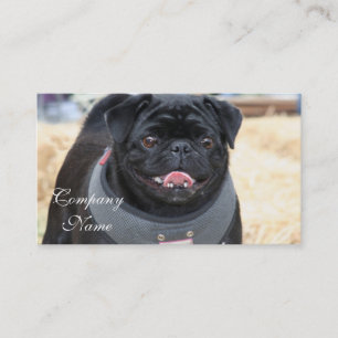 Black Pug Business Cards