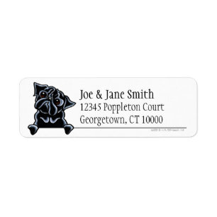 Black Pug Clean & Simple