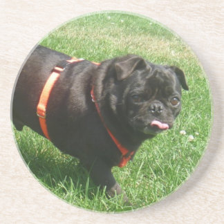 Black PUG Coaster