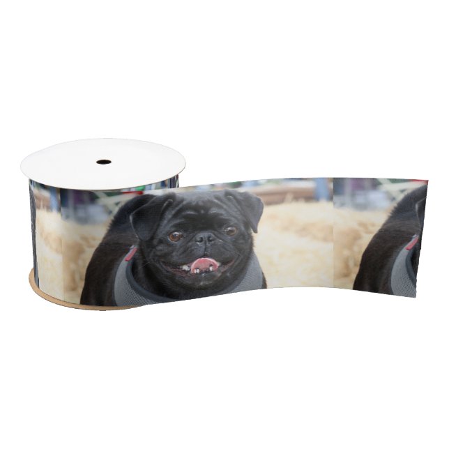Black pug dog 3" satin ribbon (Spool)