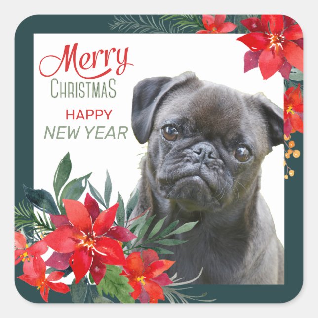 Black Pug Dog Poinsettia Bouquet Christmas Square Sticker (Front)