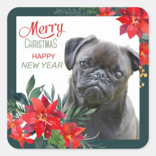 Black Pug Dog Poinsettia Bouquet Christmas Square Sticker
