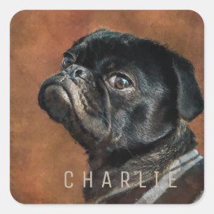 Black Pug Dog Square Sticker