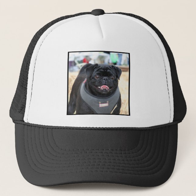 Black Pug Dog Trucker Hat (Front)